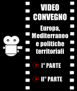 video convegno