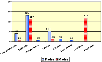 Grafico a torta che mostra le professioni degli alunni del liceo