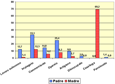 Grafico a torta che mostra le professioni degli alunni del tecnico