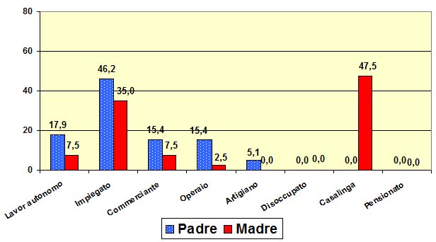 Grafico a torta che mostra le professioni degli alunni del liceo