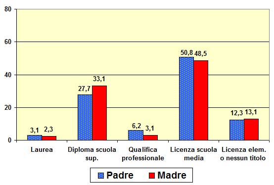 Grafico a torta che mostra il titolo di studio genitori del tecnico