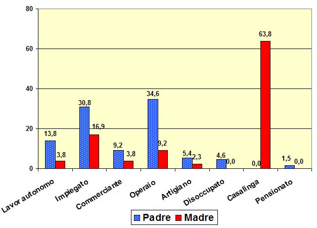Grafico a torta che mostra le professioni degli alunni del tecnico