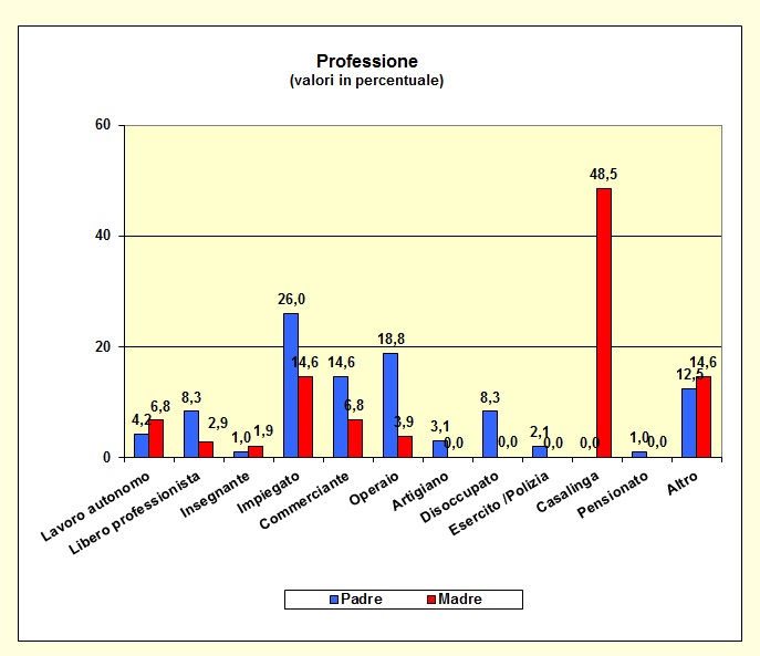 Grafico a barre che individua la professione dei genitori della popolazione scolastica dell’I.T.E.