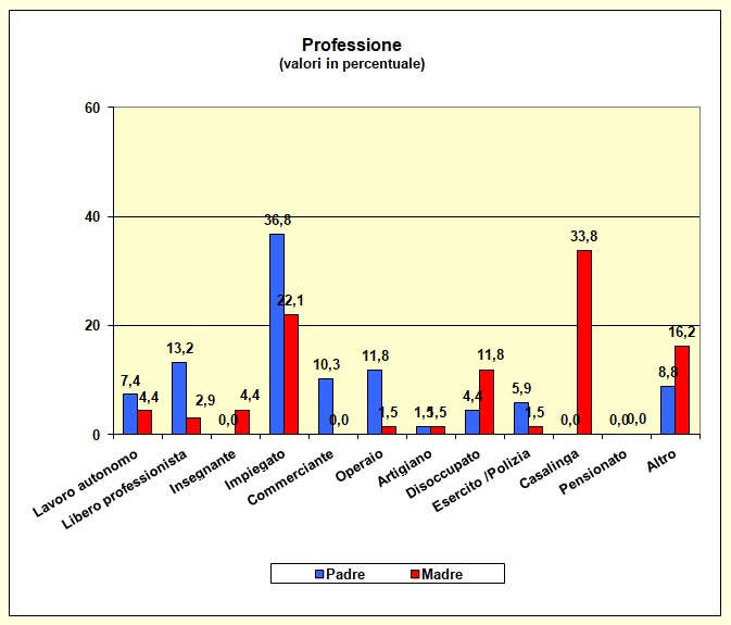 Grafico a barre che individua la professione dei genitori della popolazione scolastica del Liceo